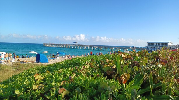 A beach with a pier extending into the sea, surrounded by lush greenery. - Historical Cottage in Downtown Lake Worth Beach, fully renovated and modernized (Lake Worth)