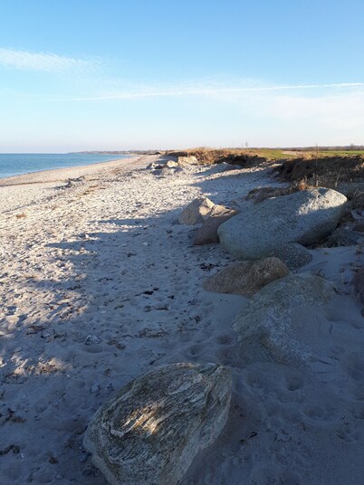 1 Bedroom Apartment in Hohenfelde