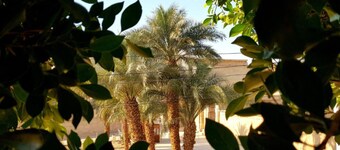 HabuHeritageHomeStayInLuxor