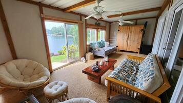 Téléviseur connecté, lecteur de DVD, sélection de films