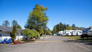 Unclassified image, 3 of 53, button - Westport RV Park & Motel (Westport)