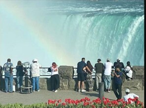 A group of people standing by a large waterfall, with a railing in the foreground and red flowers at the bottom.