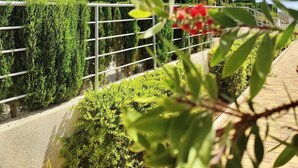 Unclassified image, 5 of 18, button - Luxury Apartment in Cabo Roig , 2 Pools and Lovely Gardens (VC)