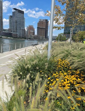 المنطقة المحيطة بالمنشأة