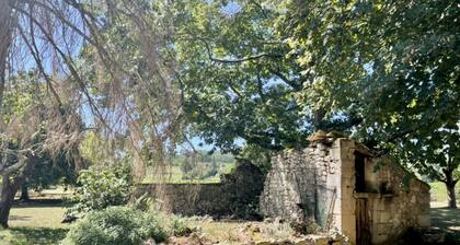 Maison de caractĂšre,grande piscine, au milieu des vignes a 10mn de Saint Emilion