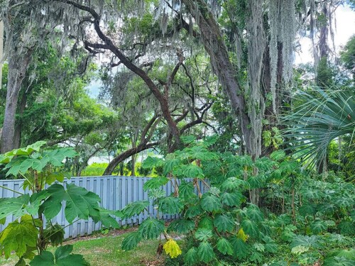 StayGainesville's Peaceful Condo Near UF / Shands