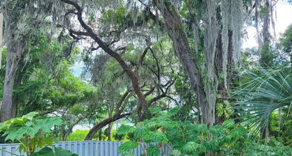 StayGainesville's Peaceful Condo Near UF / Shands