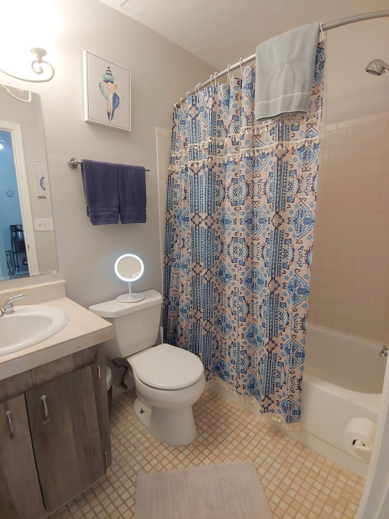 A bathroom with a toilet, a sink, a mirror with lights, a shower curtain, and a towel rack.