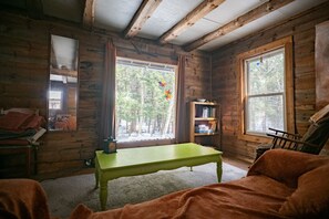 Fireplace, books - Keefer Cabin on the Hersey Creek (Le Roy)