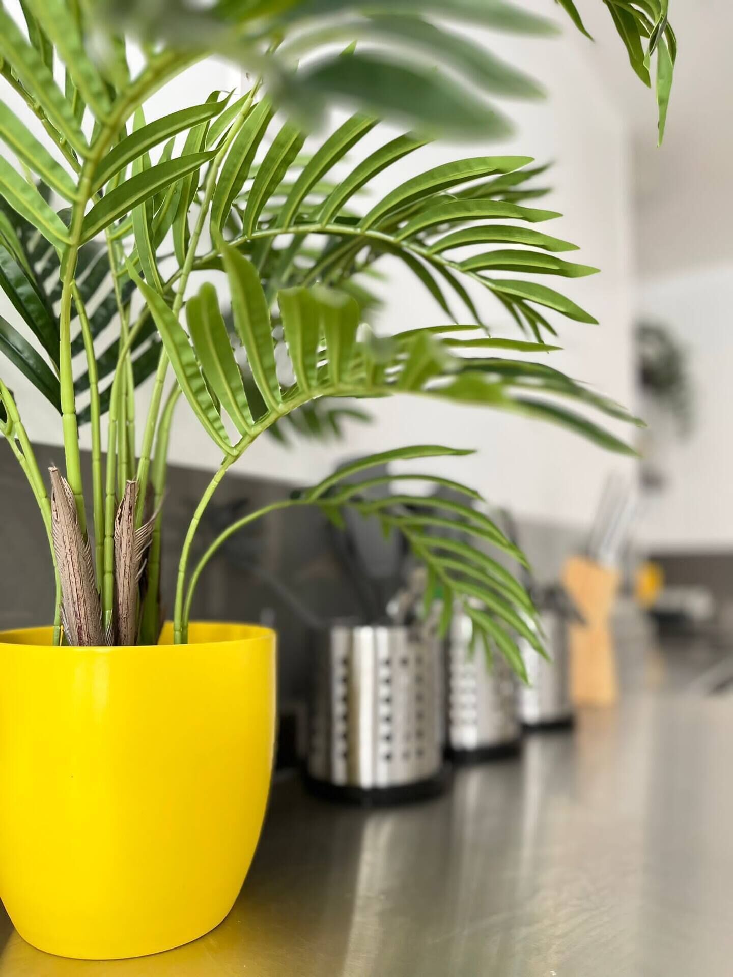 Una planta en maceta con hojas largas y delgadas en una maceta de color amarillo brillante sobre una encimera de cocina.