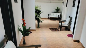 Un pasillo con un sofá, sillas y plantas en macetas.