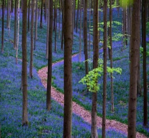 Exterior - CHATEAU BEERSEL GF MASIO (Beersel)