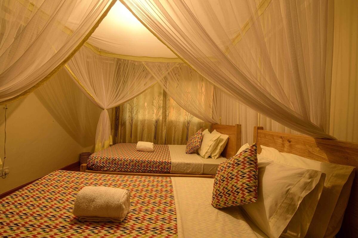 A bedroom with two beds, each with a patterned bedspread and pillows.