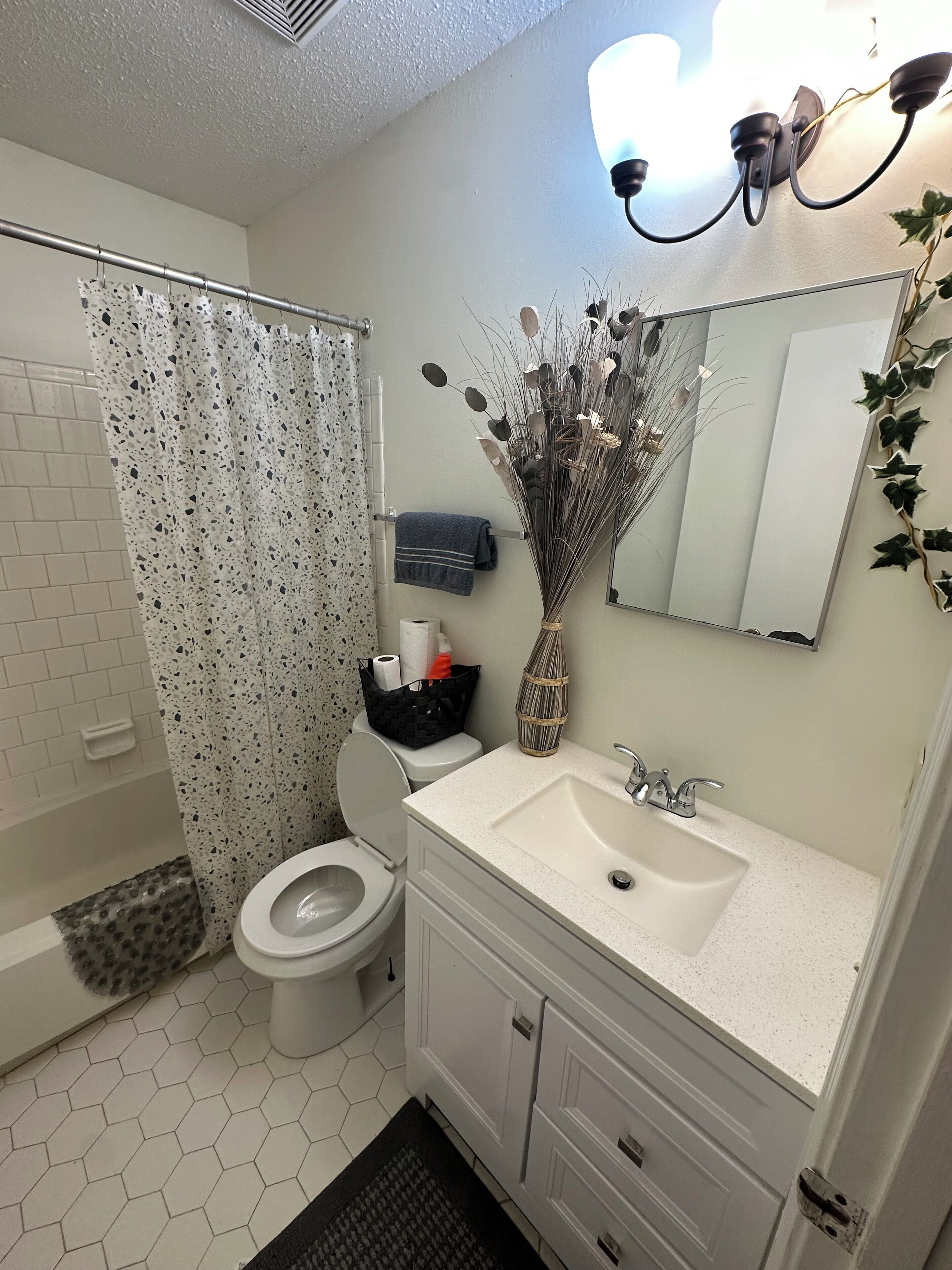 Shower, towels, toilet paper