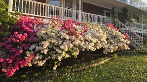 Ein Haus mit einer Veranda, einer Treppe und einem Garten mit rosa und weißen Blumen.