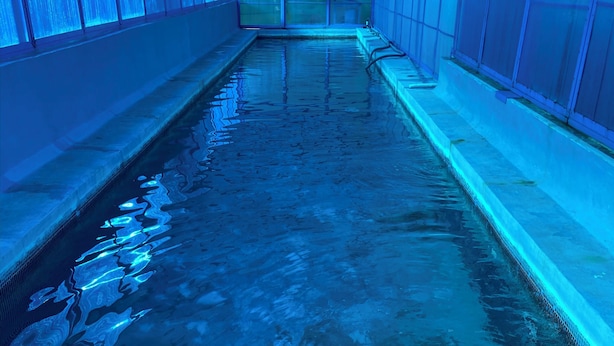 Exercise/lap pool - Casa Zuniga Bed and Breakfast (Guanajuato)