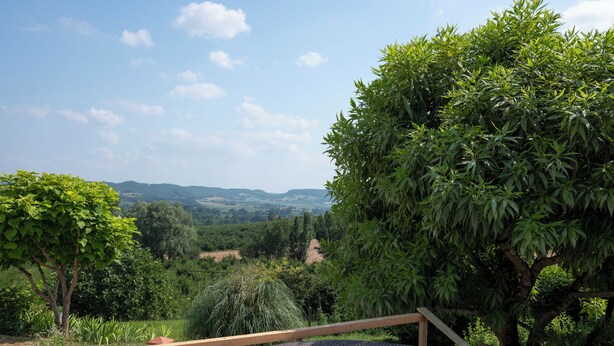 Ein Whirlpool mit einer Holzterrasse, umgeben von üppiger Vegetation und einem schönen Blick auf Hügel und Bäume.