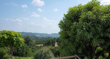 Maison avec vue panoramique sur la vallée du lot , piscine et spa