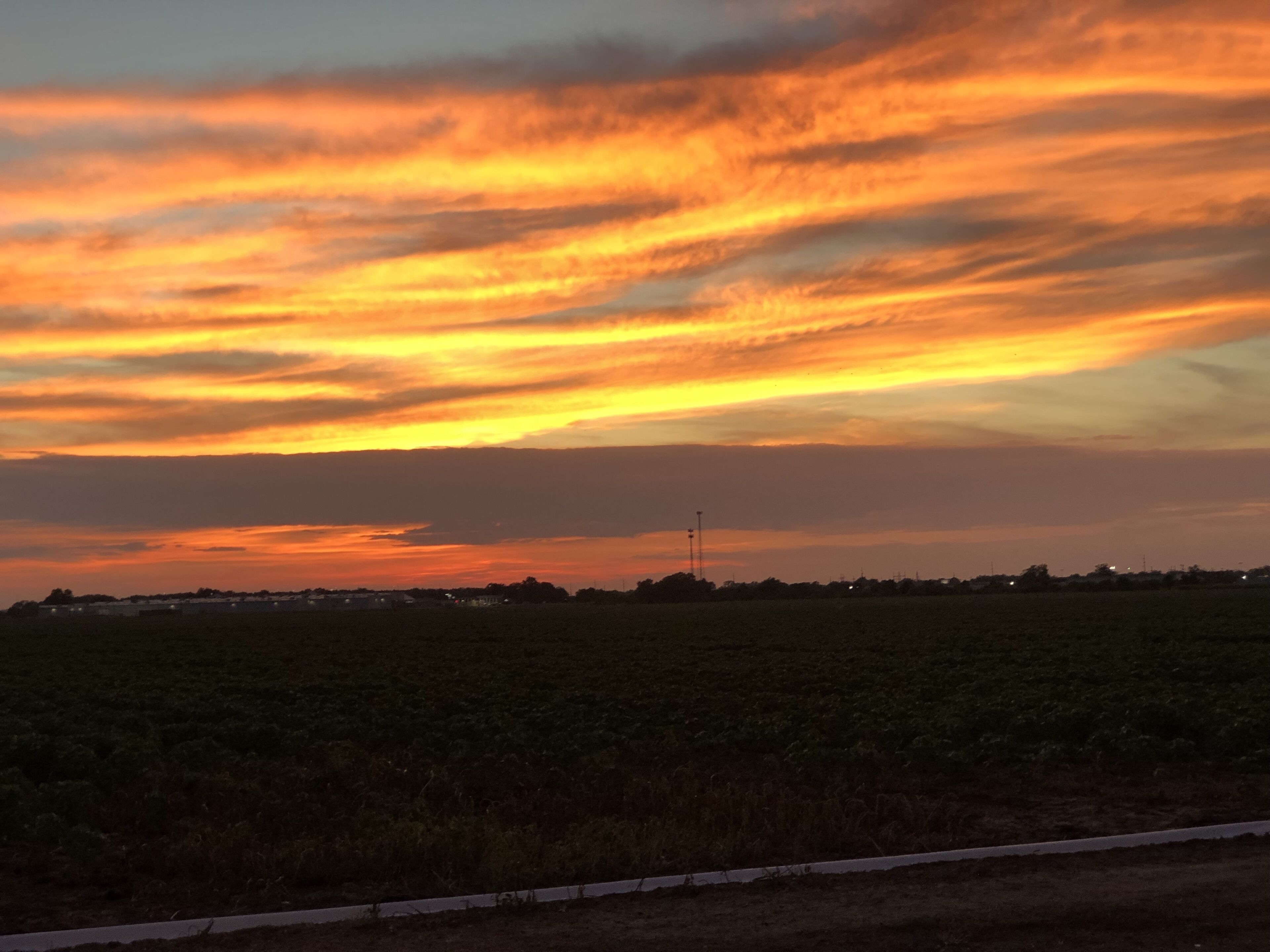 A sunset over a field with a road in the foreground.