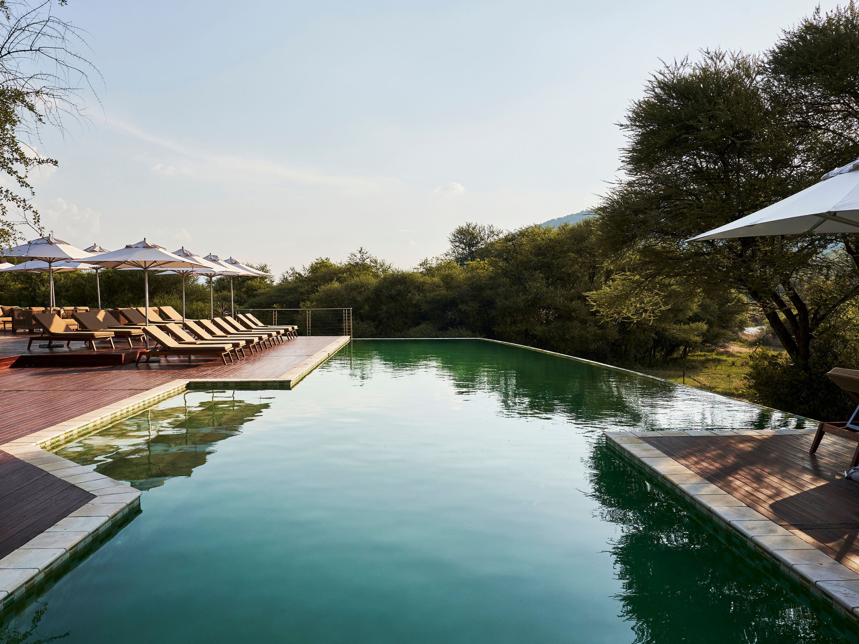 A swimming pool with lounge chairs and umbrellas, surrounded by trees.