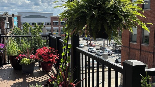 A wooden deck with potted plants and a hanging fern.
