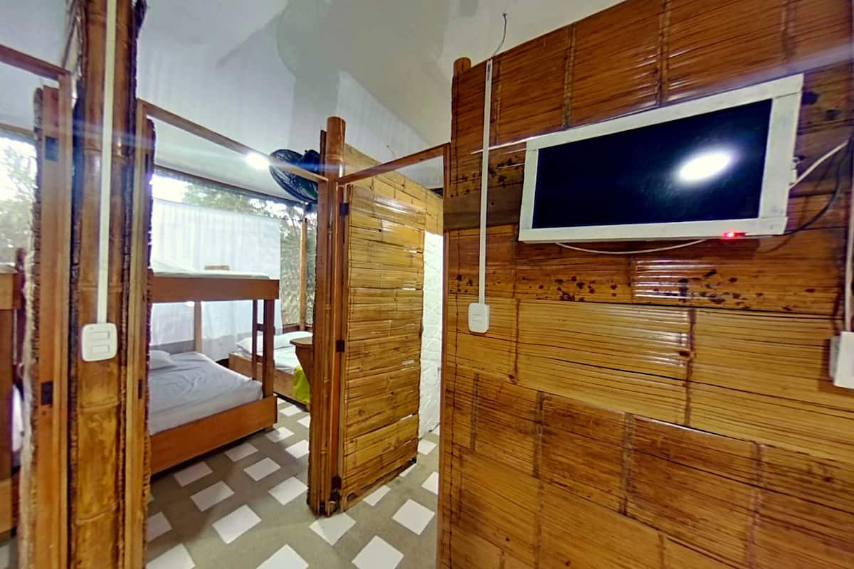 Een kamer met houten wanden, een stapelbed, een aan de muur bevestigde televisie en een raam met uitzicht op bomen.