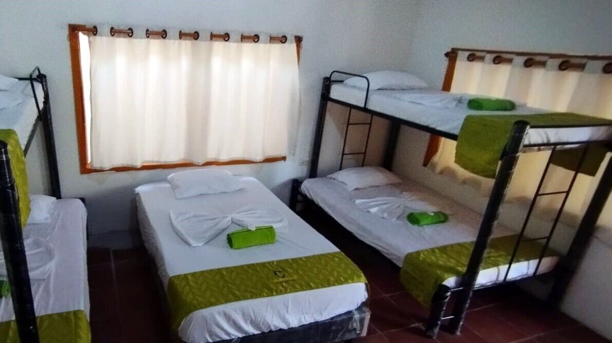 A dormitory room with bunk beds, a window with curtains, and a bed with a green towel.