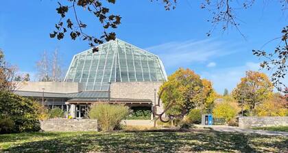 🌻 Rise & Shine Sunflower – Your Perfect Family Escape sleep/8