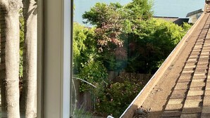 Vista a través de una ventana de un lago con una colina boscosa al fondo.
