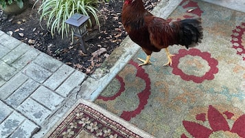 Enceinte de lâhĂ©bergement