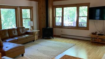 Smart TV, fireplace, books