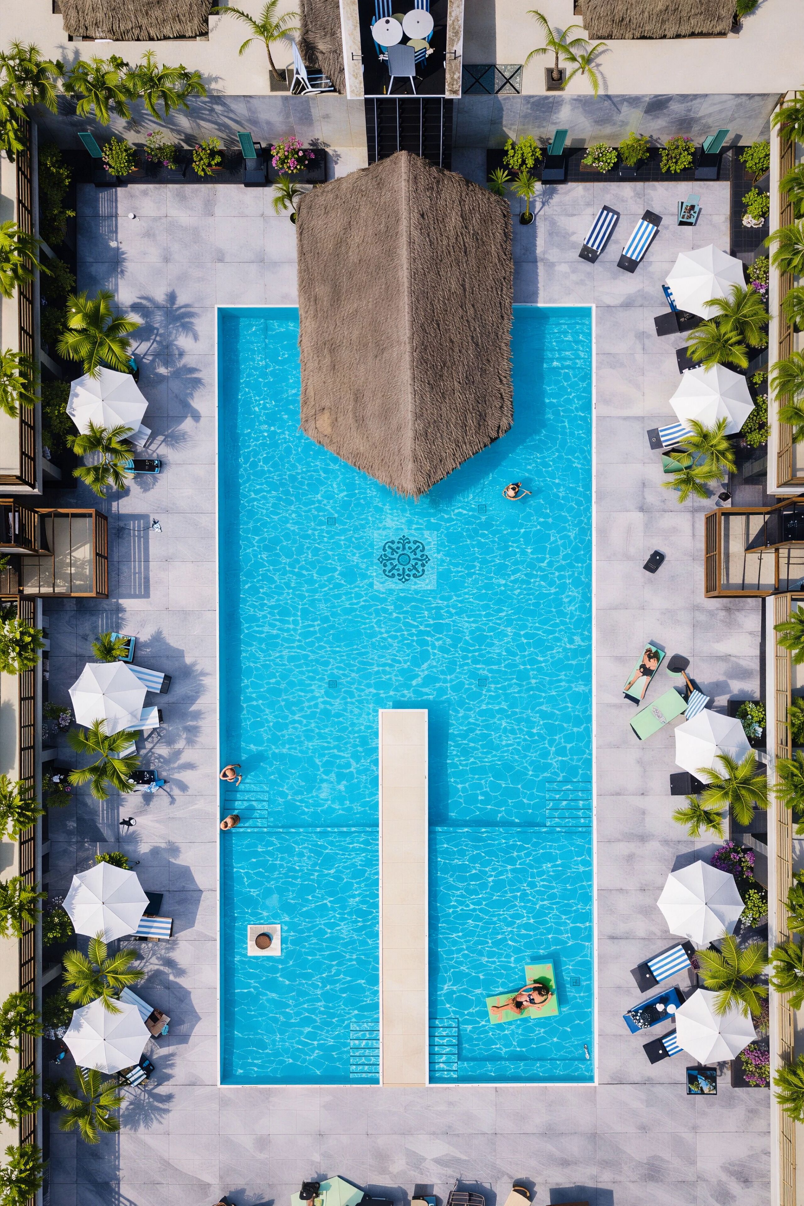Une vue aérienne d’une piscine entourée de palmiers, avec des chaises longues et des parasols.