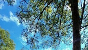 A two-story house with a balcony, surrounded by trees and a clear sky. - Waterfront 5 Bedroom (Karnack)