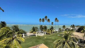 A coastal view with palm trees, a beach, and a clear sky. - BEST AQUATIKA PENTHOUSE: truly beachfront, 10 beds, 5 rooms, 10 person capacity. (Vieques)