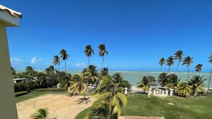 A view of a beach with palm trees and a clear blue sky. - BEST AQUATIKA PENTHOUSE: truly beachfront, 10 beds, 5 rooms, 10 person capacity. (Vieques)