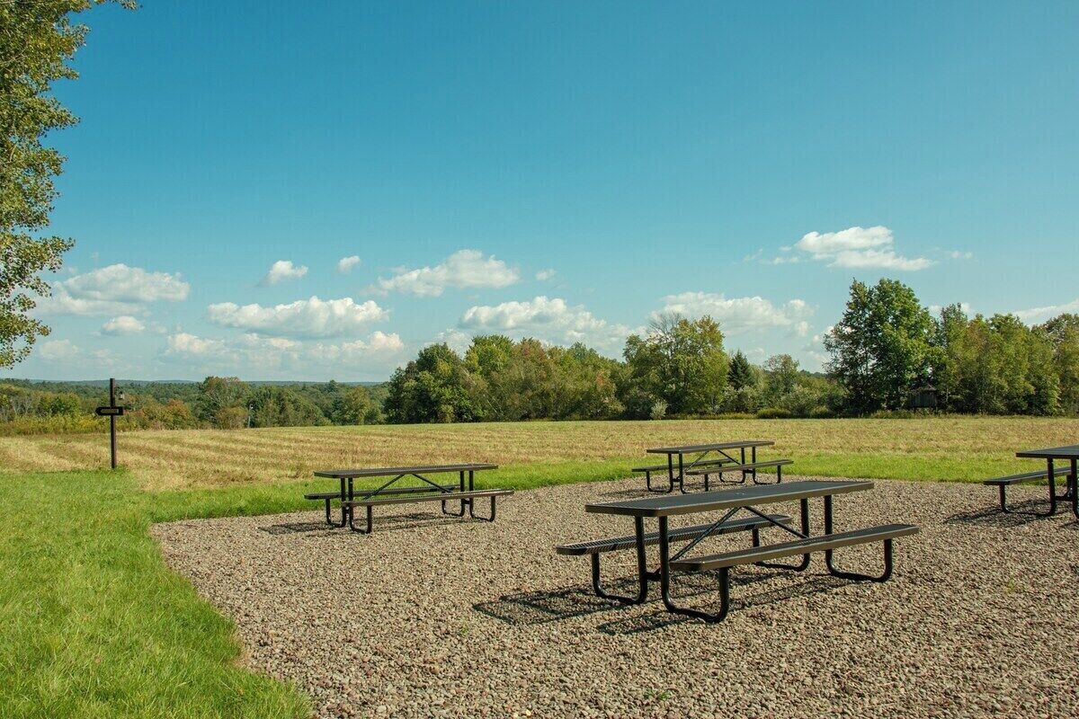 A picnic area with multiple tables and benches, surrounded by a gravel path and grassy areas, with trees and a clear sky in the background.