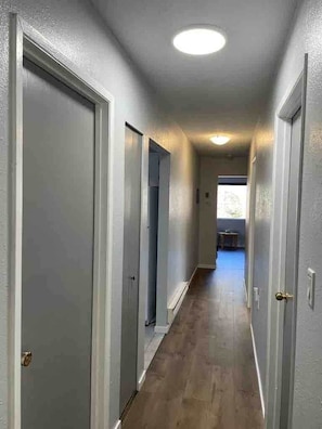 A hallway with closed doors, a wooden floor, and a ceiling light.