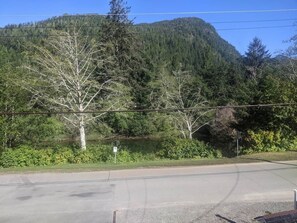 A road with a mountain in the background.