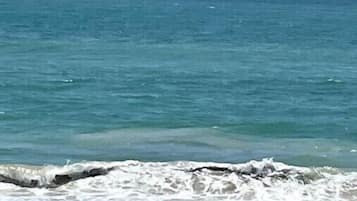 Camastros y toallas de playa
