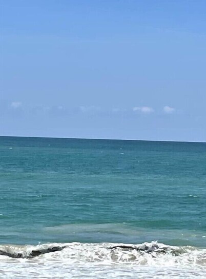 Early Bird Summer Special Weekly Discounts Hibiscus House