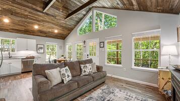 TV connectée, cheminée, lecteur de DVD