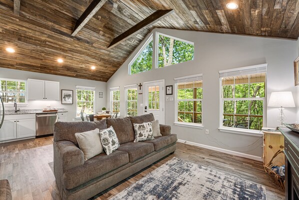 Smart TV, lareira, DVD player