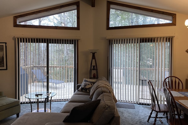 TV connectée, cheminée, livres, imprimantes