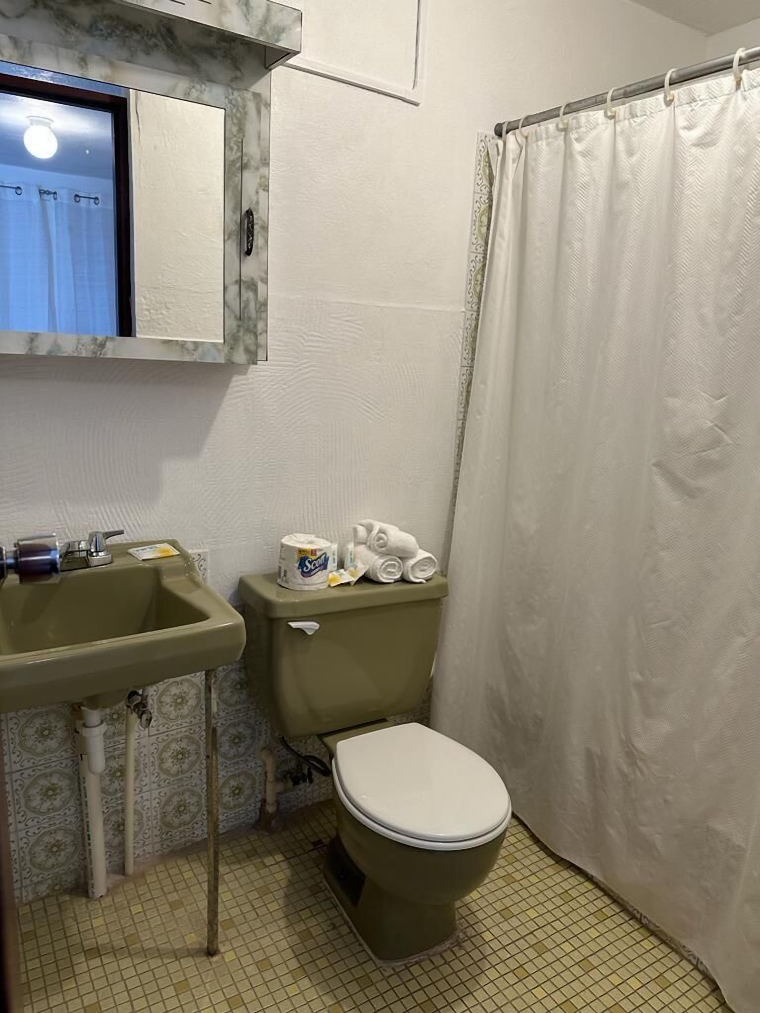 A bathroom with a toilet, sink, and shower curtain.