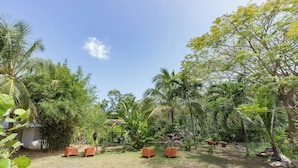 Ein Garten mit mehreren Sitzbereichen und verschiedenen tropischen Pflanzen.