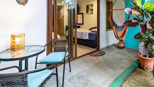 A room with a bed, a glass door leading to a balcony, a hanging chair, and a potted plant. - Posada Nena (Santa Ana)