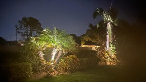 A nighttime garden with illuminated plants and a palm tree.