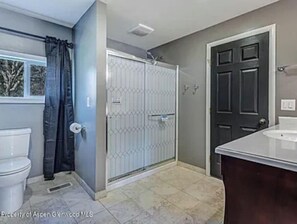 A bathroom with a toilet, shower, and sink. - An Oasis inside and out! Sweet cottage in Silt (Silt)