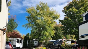 A residential area with RVs parked on a driveway.