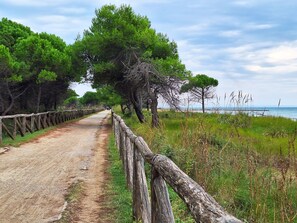 Appartamento, 1 camera da letto, patio, vista giardino | Varie